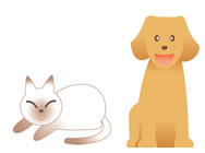 猫と犬